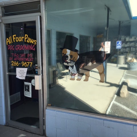 all four paws dog grooming