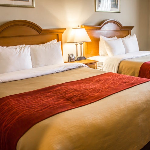 Photos At Comfort Inn Jfk Springfield Gardens Jamaica Ny