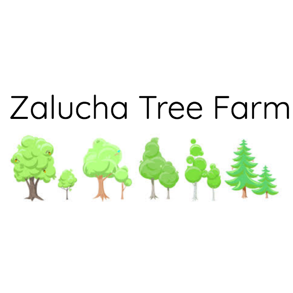Commercial tree farm in illinois. Learning tree. Tree farm перевод. вязанные деревья для фермы. река кайахога на карте.