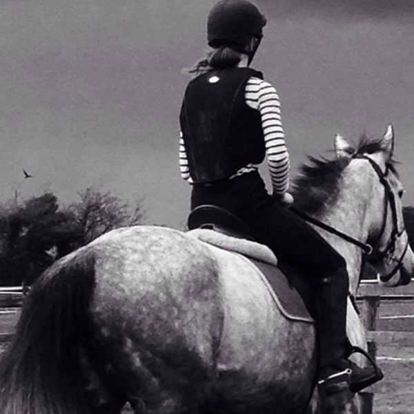 Yellow Walls Stables (Now Closed) Navan, Co Meath