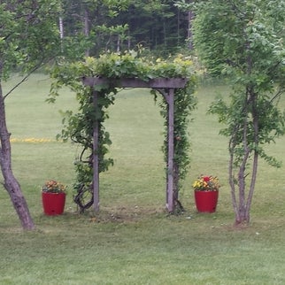 Photos At Pine Crest Motel Cabins Barton Vt
