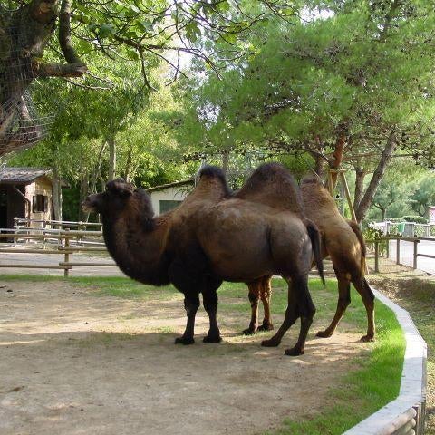 Foto tomada en Parco Zoo Punta Verde  por Yext Y. el 11/2/2017