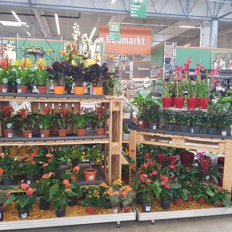 Baumarkt reinholdshain