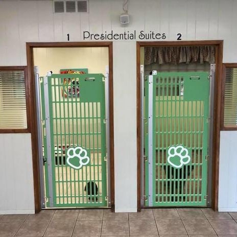 Jaggers hotsell doggie daycare