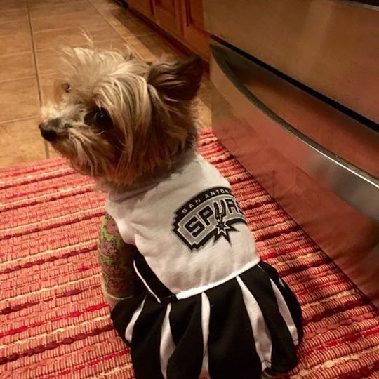 Rudy's Feed Store Pet Supplies Store in San Antonio