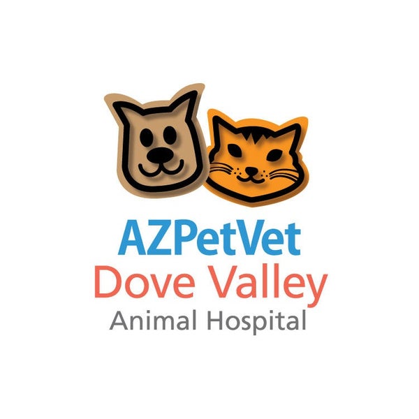 6/26/2020にYext Y.がDove Valley Animal Hospitalで撮った写真