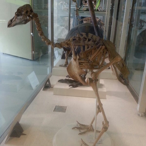 Foto scattata a Cambridge University Museum Of Zoology da Bianca B. il 6/12/2013