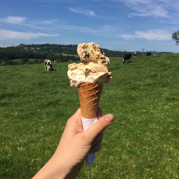 Otter Valley Dairy & Field Kitchen Honiton, Devon