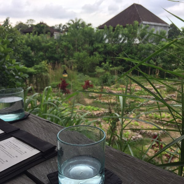 Best food I had in Ubud. Such a unique experience of eating right from the permaculture garden. Everything tastes amazing, views are fantastic and the staff is very helpful.