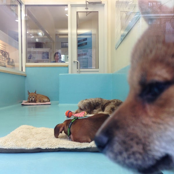 Photos at Biscuits & Bath Carnegie Hill New York, NY