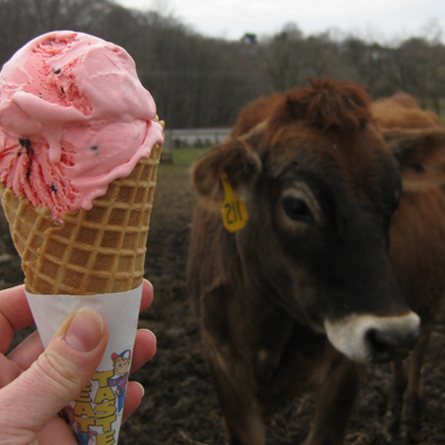 Woodside Farm Creamery has been a family-operated dairy farm since 1796. Now a local tradition, you can watch the cows graze while enjoying a chocolate thunder ice cream cone.