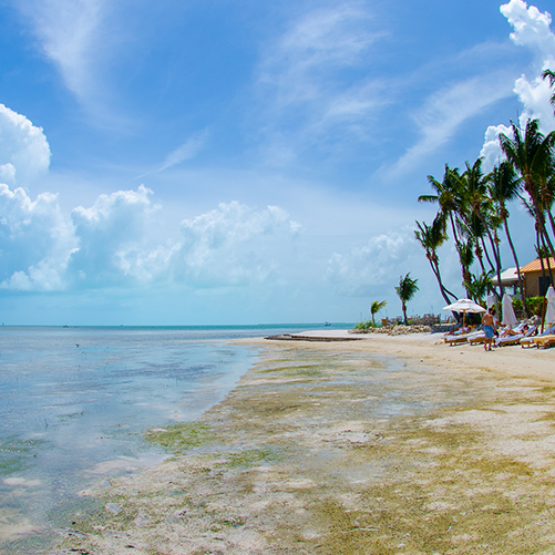 This secluded island off the coast of the Florida Keys is as gorgeous and exotic as any Caribbean beach.