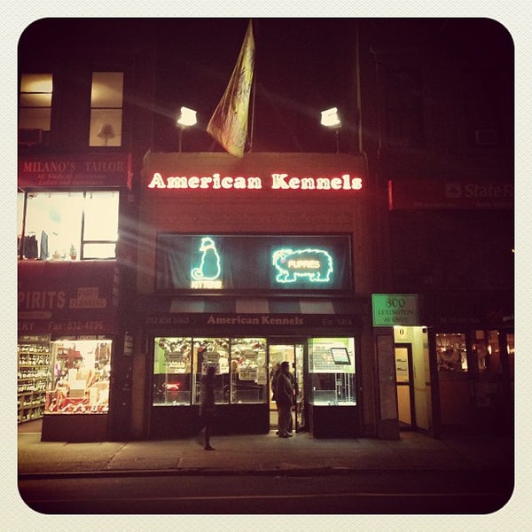 1/8/2013にAchikoがAmerican Kennelsで撮った写真