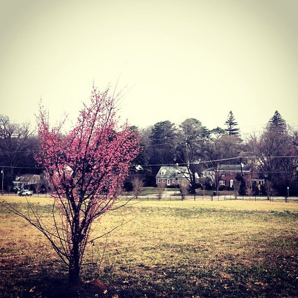 Meredith College Soccer Field Raleigh, NC