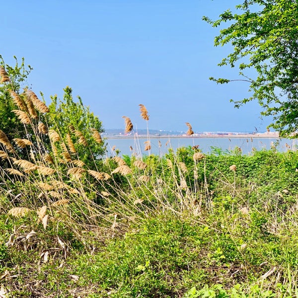 Парк в приморске