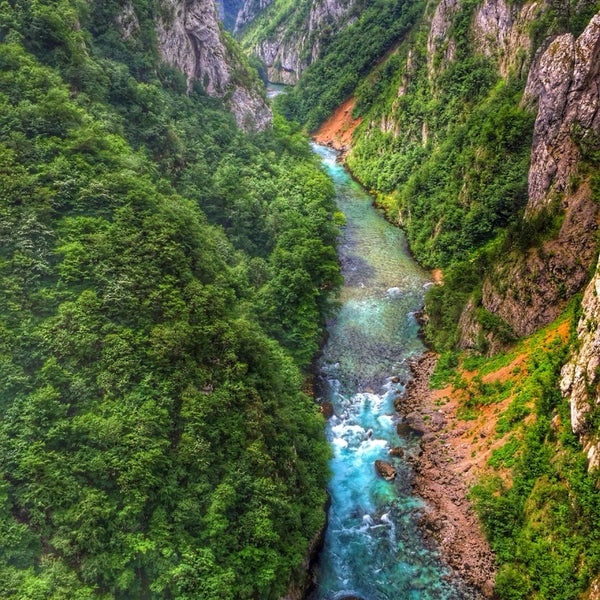 Mountain River Tara and Forest in Montenegro Stock Photo - Image of beach, herze