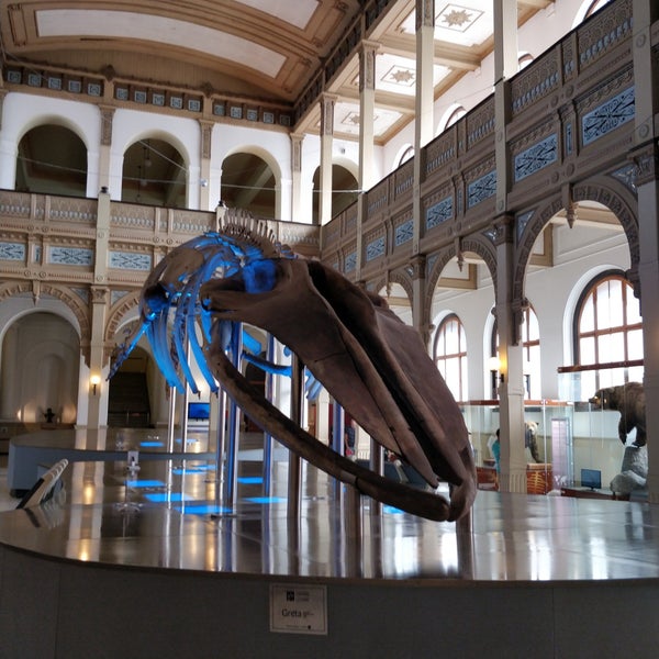 Das Foto wurde bei Museo Nacional de Historia Natural von ErkNcs am 2/16/2019 aufgenommen