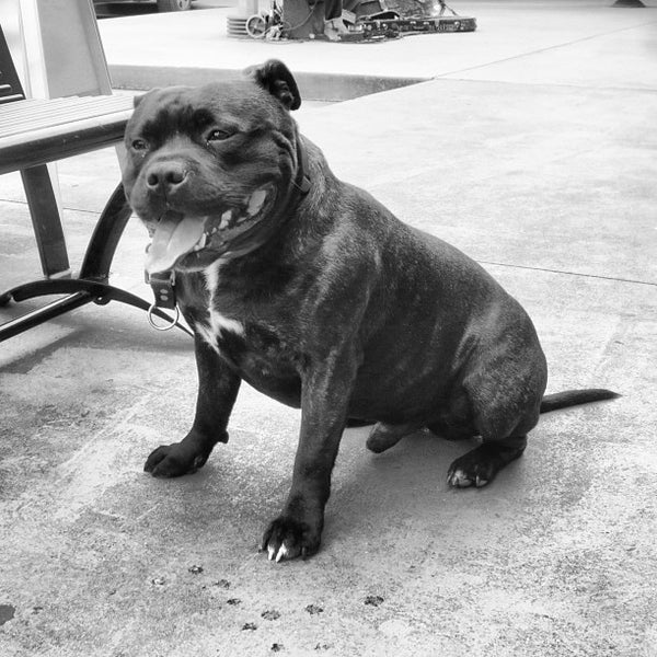 Yarraville Square Shopping Centre 1 High St