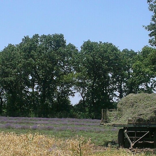 Малин (житомирская область). Храм города малин житомирская область. Малин (житомирская область)шевченко. Село малин. Украина житомирская малин.