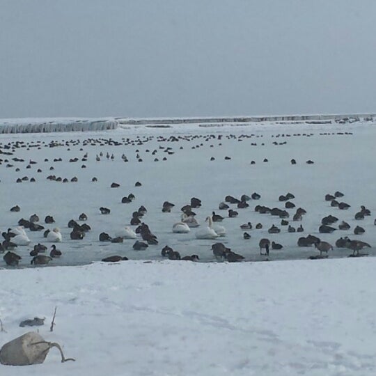 Photo taken at Cobourg Beach by ZTG F. on 1/31/2015