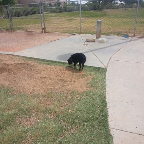 Photos at Tempe Sports Complex Dog Park 8401 S Hardy Dr.