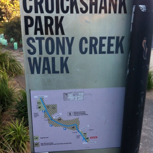 Прогулка в лесу картинки. Пешие прогулки на природе. When i walked in the park. Прогулки на свежем воздкх. Прогулки на свежем воздкх.