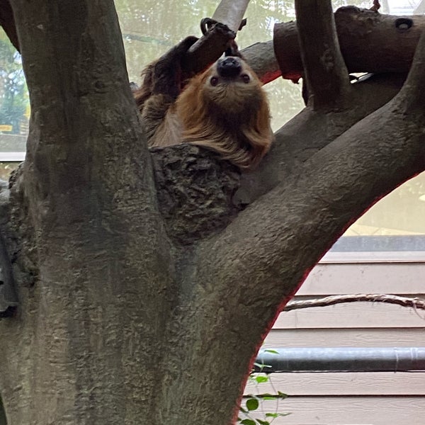 Foto diambil di Cincinnati Zoo &amp; Botanical Garden oleh Ashley S. pada 10/2/2022