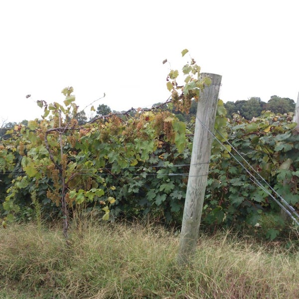 Kreutz Creek Winery Winery in West Grove