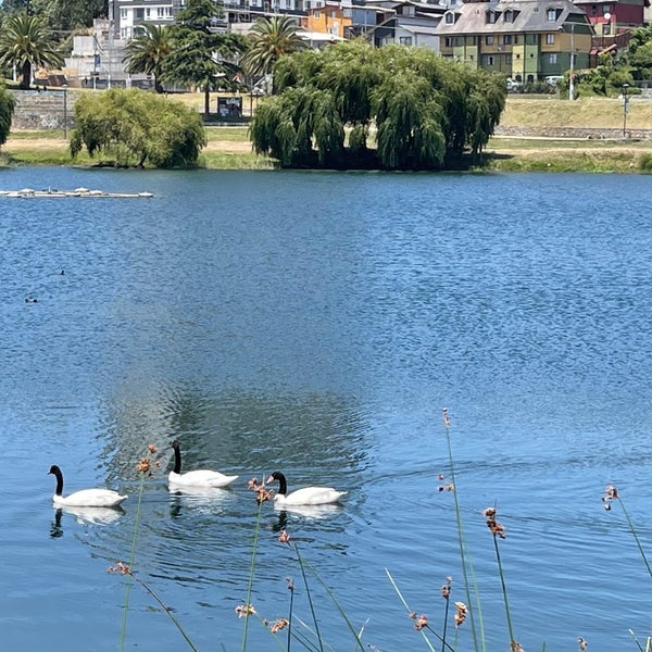 Laguna Redonda Concepción, Biobío