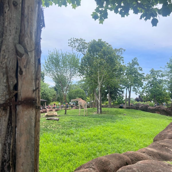 7/31/2023 tarihinde Lamziyaretçi tarafından Saint Louis Zoo'de çekilen fotoğraf