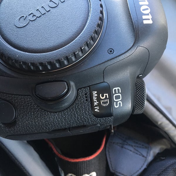 PROCAM Photo & Video Gear Livonia, MI