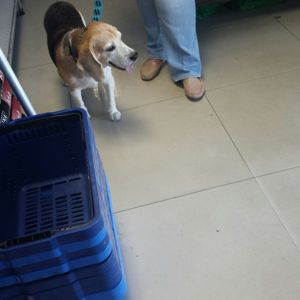 American Pet Barra da Tijuca Rio de Janeiro, RJ