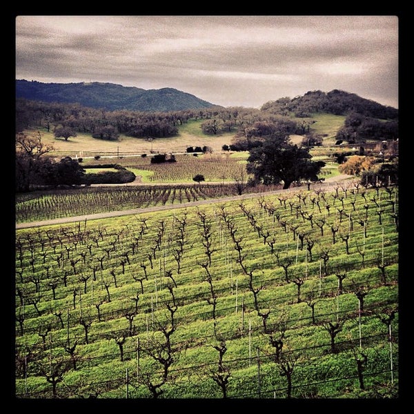 Photo taken at Arrowood Vineyards &amp; Winery by Bryan K. on 12/28/2012