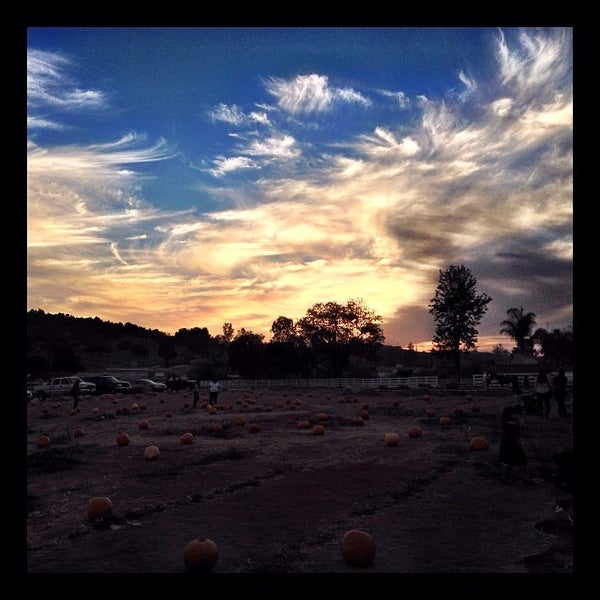 Photos At Mountain Valley Ranch Pumpkin Patch Farm