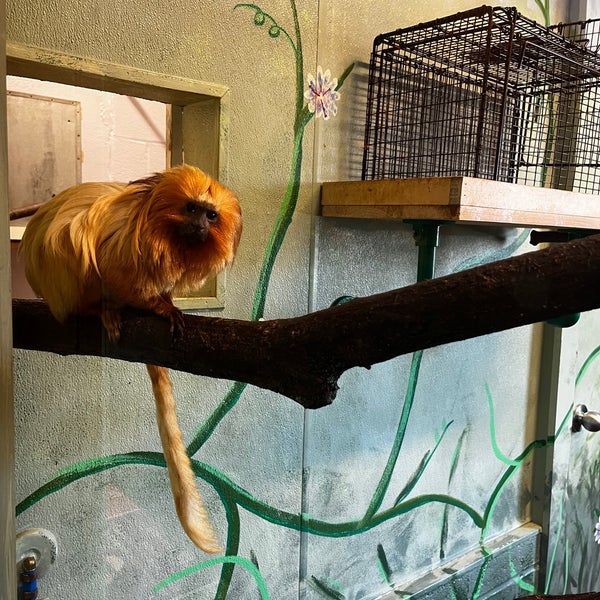 1/3/2024 tarihinde Robin D.ziyaretçi tarafından Elmwood Park Zoo'de çekilen fotoğraf