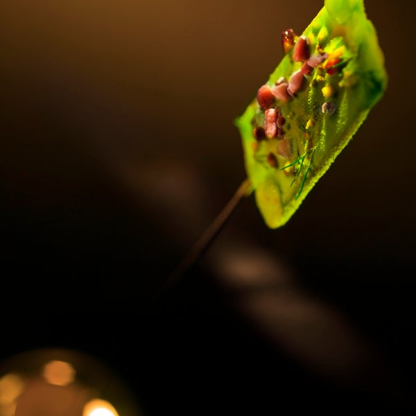 6/13/2014에 Restaurants by Paul Pairet님이 Ultraviolet by Paul Pairet에서 찍은 사진