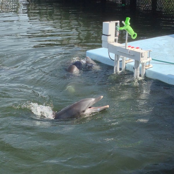 Снимок сделан в Dolphin Research Center пользователем Luanne M. 9/23/2013