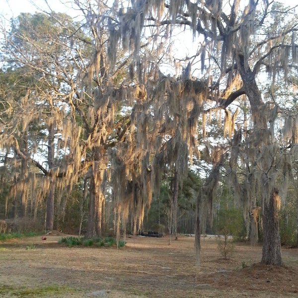 Varnville, SC 3 tips