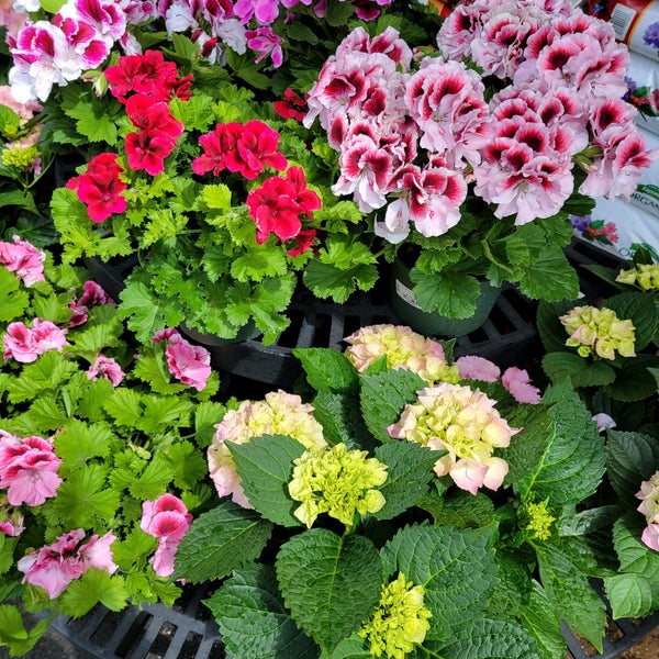 Rohsler's Allendale Nursery & Florist Flower Store in Allendale