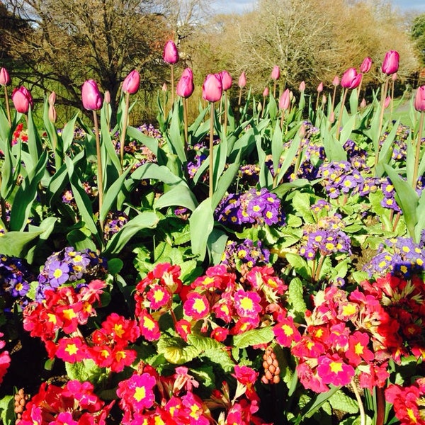 People's Flower Gardens - Phoenix Park - Phoenix Park