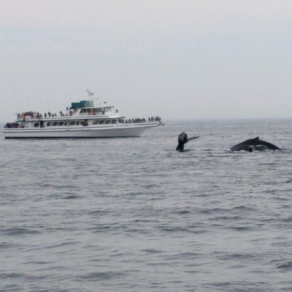 Foto diambil di Cape Ann Whale Watch oleh Prajakta pada 5/27/2018