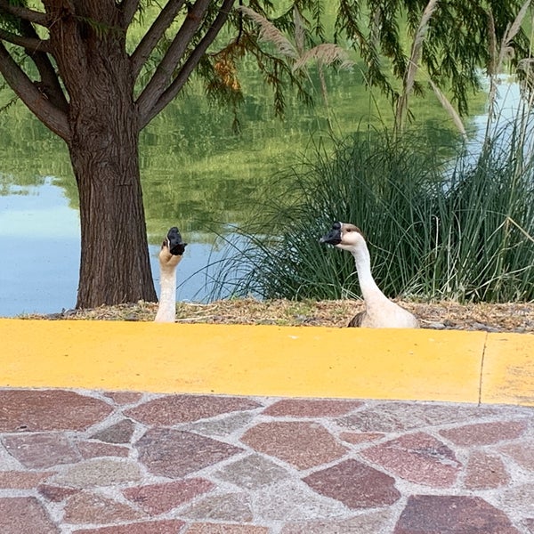 Снимок сделан в Parque Bicentenario Querétaro пользователем Elizabeth E. 9/25/2019