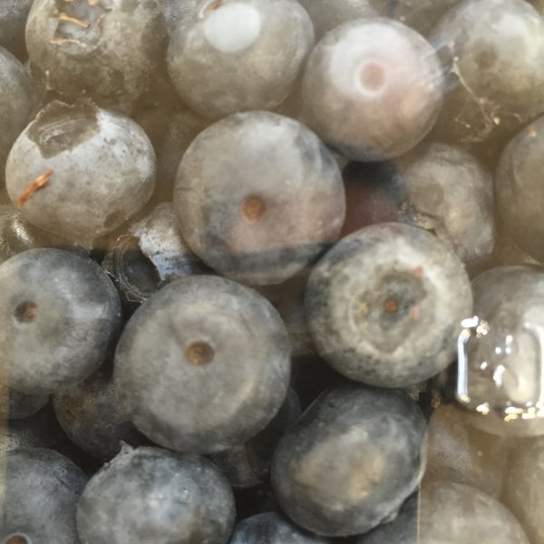 Fred Meyer Fisher's Landing East 16600 SE McGillivray Blvd