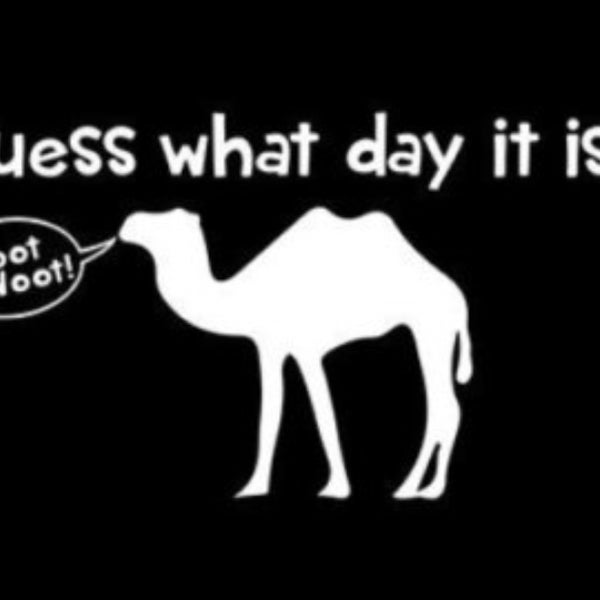 Guess what is advertised. Гесс футболки голубые. Guess what day it is. Guess what day it is. Hump day.