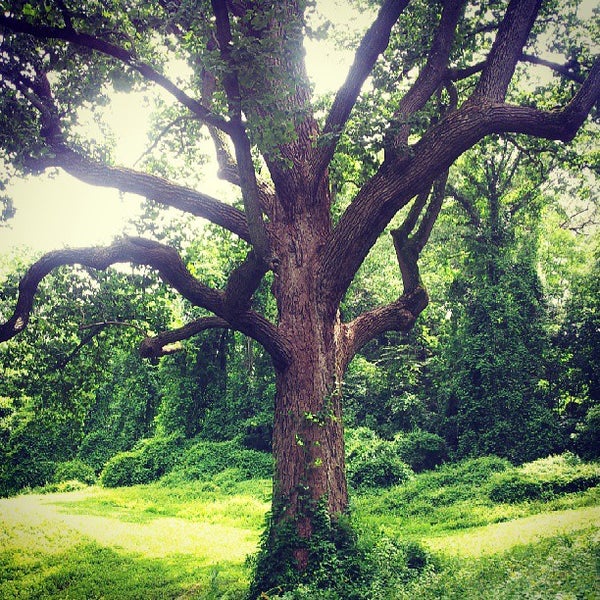 7/2/2013 tarihinde olga p.ziyaretçi tarafından Dumbarton Oaks Park'de çekilen fotoğraf