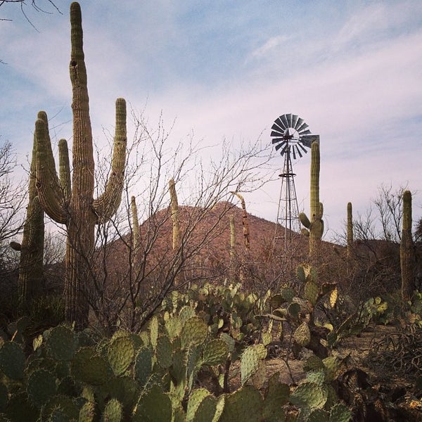 colossal cave park az colossal cave park az