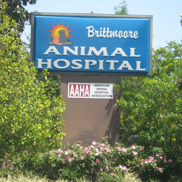 Das Foto wurde bei Brittmoore Animal Hospital von Brittmoore Animal Hospital am 6/17/2014 aufgenommen