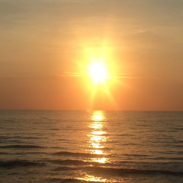 Bicentennial Park - Beach