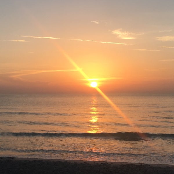 Bicentennial Park - Beach