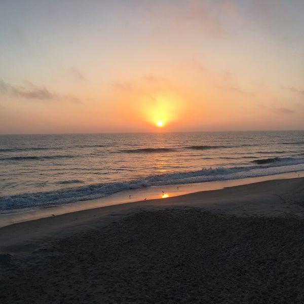 Bicentennial Park - Beach